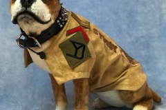 Commissioned replica of Sgt. Stubby