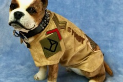 Commissioned replica of Sgt. Stubby