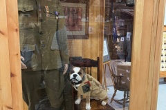 Commissioned replica of Sgt. Stubby